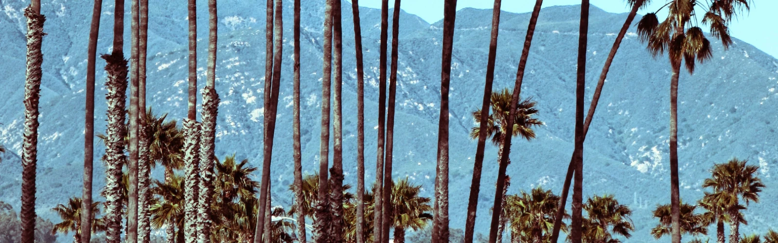 Santa Barbara Travel Guide: Hidden Gems & Iconic Landmarks