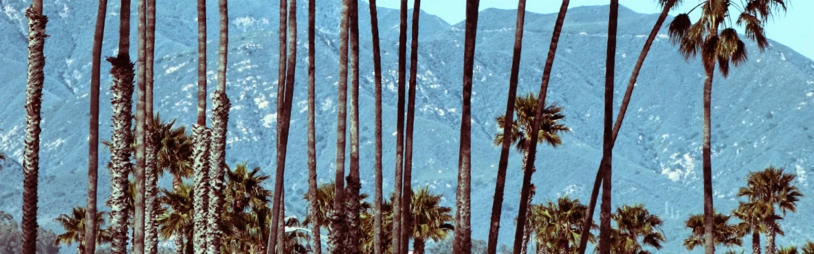 Santa Barbara Travel Guide: Hidden Gems & Iconic Landmarks