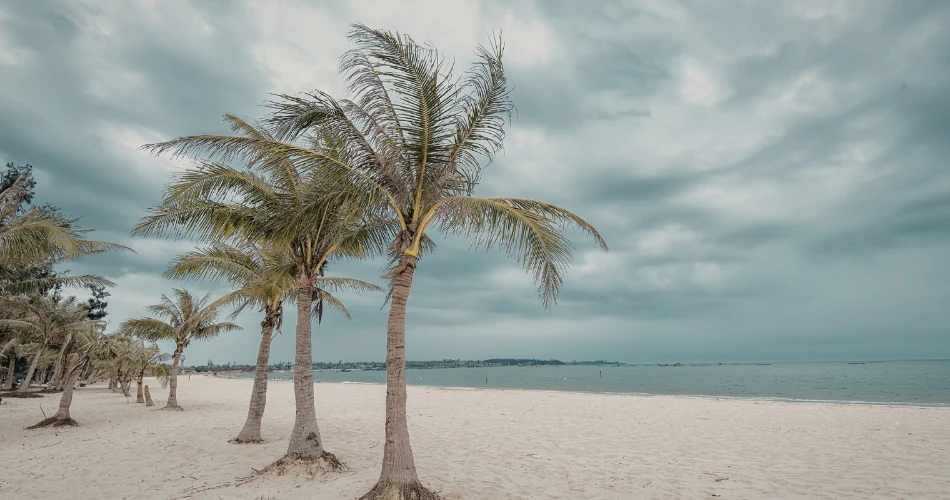 Santa Barbara Travel Guide: Hidden Gems & Iconic Landmarks